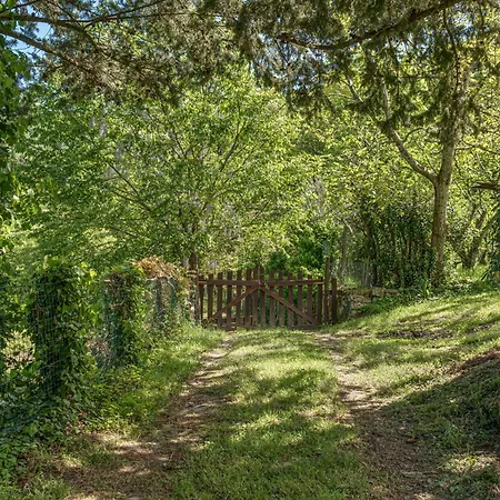 Mulino Con Piscina Vicino Firenze Holiday home
